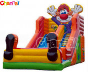 Inflatable Giant Slide/Slide Inflatable Bb134