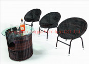 Iron Frame Rattan Outdoor Garden Dining Set (JJ-S427&435)