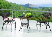 Iron Frame Wicker Leisure Garden Dining Set (JJ-S480&580)