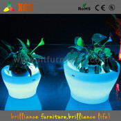LED Glowing Vase/LED Light up Flower Pot/Planting Pot with Lighting