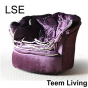 Lse Rose Sofa Chair Factory Direct Sofa Ls-108