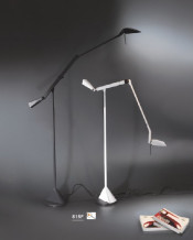 Modern Adjustable Home Aluminium Floor Lamps (815F)