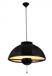 Modern Aluminium Carbon Steel Black Pendant Lighting (1121S)