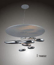 Modern Home Beautiful Fancy Pendant Decoration Light (788S2)