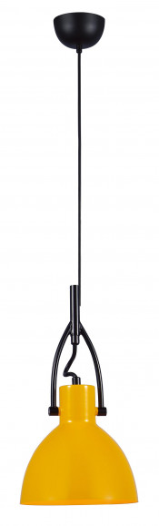 Modern Pendant Light for Restaurant Decorative (MD6173-160)