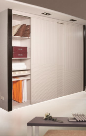 Modern Wardrobe with Swing Doors for Bedroom Furniture (W-127)