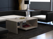 New Design Chinese Furniture Table in The Meeting Room (H-121)