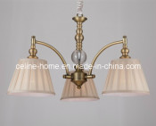 New Design Iron Pendant Lamp Chandelier (SL2088-3)