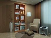 New Fasion Book Cabinet by E0 Board (H-113)