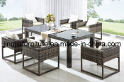 Outdoor Garden Dining Patio Rattan Table and Chair (JJ-S726)