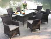 Outdoor PE Rattan Dining Set/Dining Table and Dining Chair/Garden Furniture