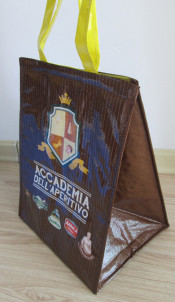 PP Laminated Themal Bag