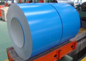 PPGI 0.16-0.6mm 700-1250mm Various Color/10 Year's Experience /SGS