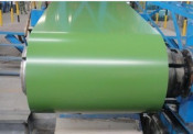 PPGI Coil - Green