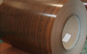 PPGI Coil -Wood-003