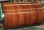 PPGI Coil -Wood-010