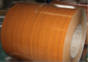 PPGI Coil -Wood-015