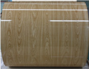 PPGI-Jks-Woodood-001