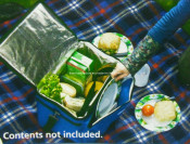 Picnic Cooler Bag (KM4697)
