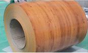 Popular Exporting Good Quality PPGI Coil -Wood-009 for Country House Roofing /Wall