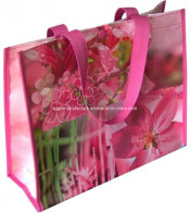 Promotional Non Woven Bag with PP Lamination