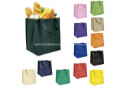 Promotional Non Woven Shopping Bag