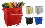 Shopping Cooler Bag