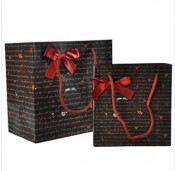 Shopping Paper Bag Customized Handlebag