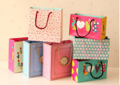 Shopping Paper Bag of China Supplier for Gift (VV-PB-0013)