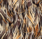 Silk Available Pirnt Artwork 20