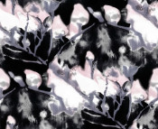 Silk Available Pirnt Artwork 33