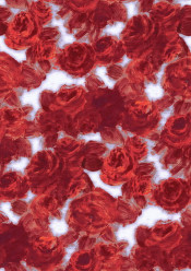 Silk Available Pirnt Artwork 34