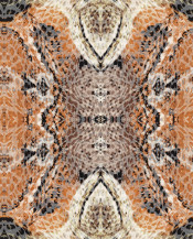 Silk Available Pirnt Artwork 37