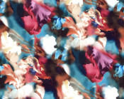 Silk Available Pirnt Artwork 55