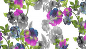 Silk Available Pirnt Artwork 57