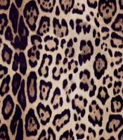 Silk Available Pirnt Artwork 7