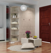 Star Hotel Guest Room Wardrobe by Manufaturer (W-07)