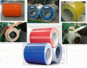 Top Selling 1000mm/1200mm/1219mm PPGI Coil