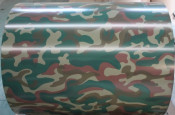 Top Selling Good Quality Color Steel Coil for Country House Roofing / Wall