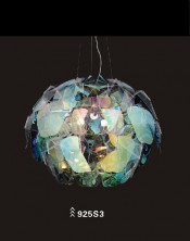 Transparent PC Carbon Steel Pendant Light E27 (925S3)
