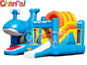Wave Inflatable Bouncer Castle/Inflatable Jumper Combo B007