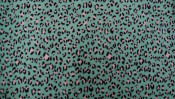 100% Polyester of Warp Knitted Fabric