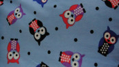 100%Polyester of Warp Knitted Fabric
