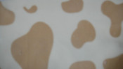 100%Polyester of Warp Knitted Fabric