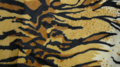 100%Polyester of Warp Knitted Fabric