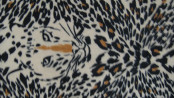 100%Polyester of Warp Knitted Fabric