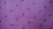 100%Polyester of Warp Knitted Fabric