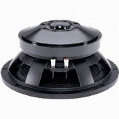 12" Pa Woofers (PS12/300)