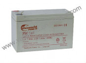 12V65ah Rechargeable Deep Cycle Cells Supplier From China
