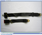 2-Point Simple Seat Belts